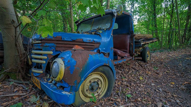 Ein Autowrack im Wald.